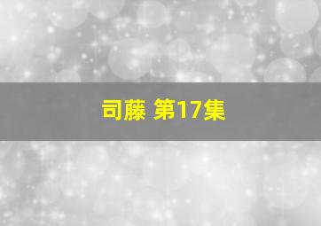 司藤 第17集